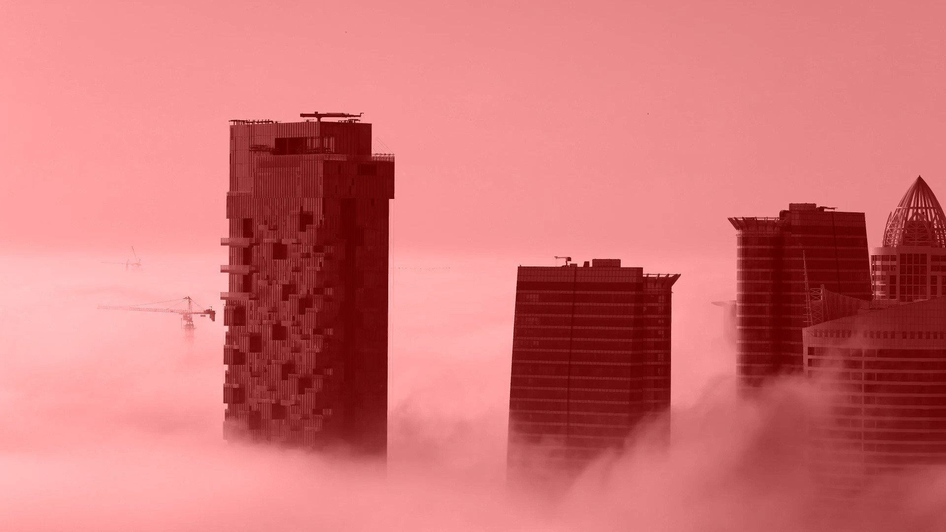 Banner NTC 