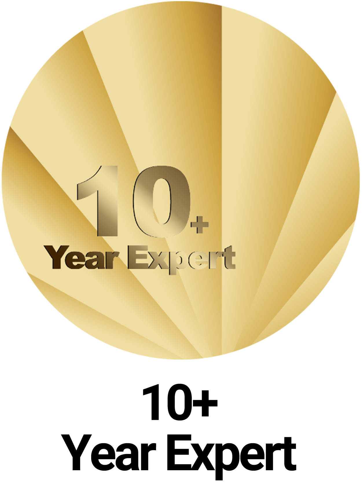 10 Year Expert